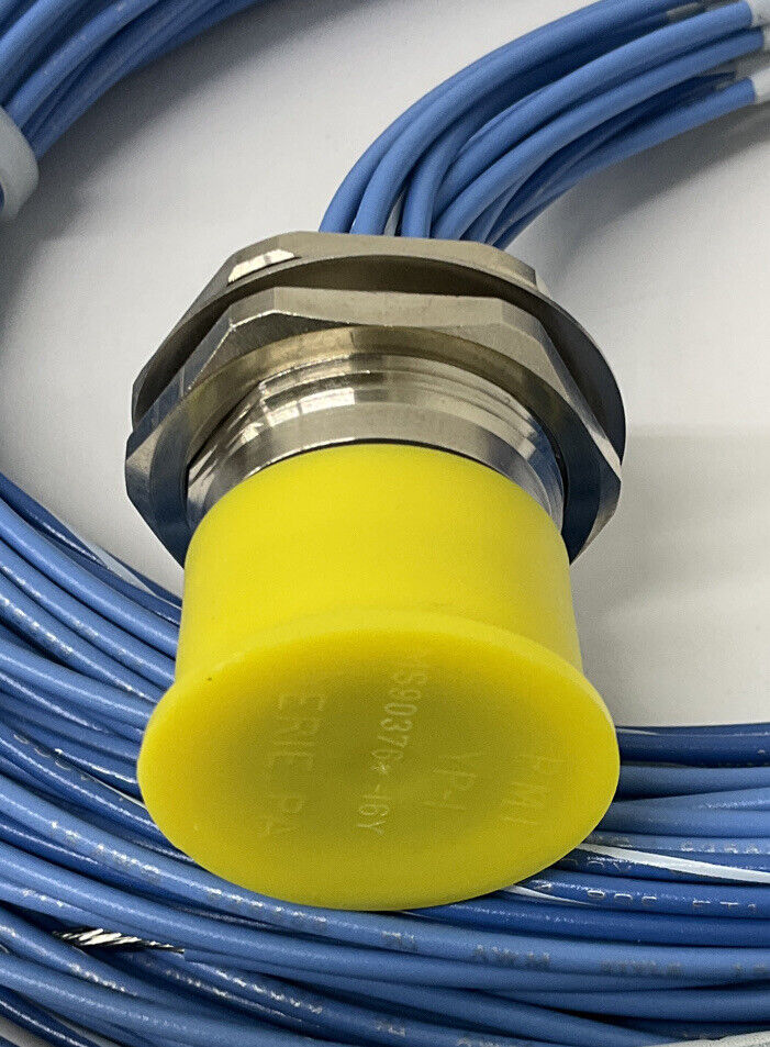 Turck CSFD-16-16-2/S613/CS13108 / U-45630 Pigtail Receptacle (GR165)