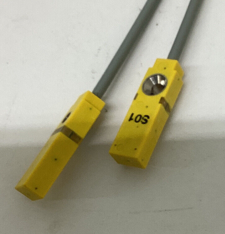 Turck Bi2-Q5,5-0,27-BS-2AP6X3-H1141/S34 / 1613006 Sensor (YE248)