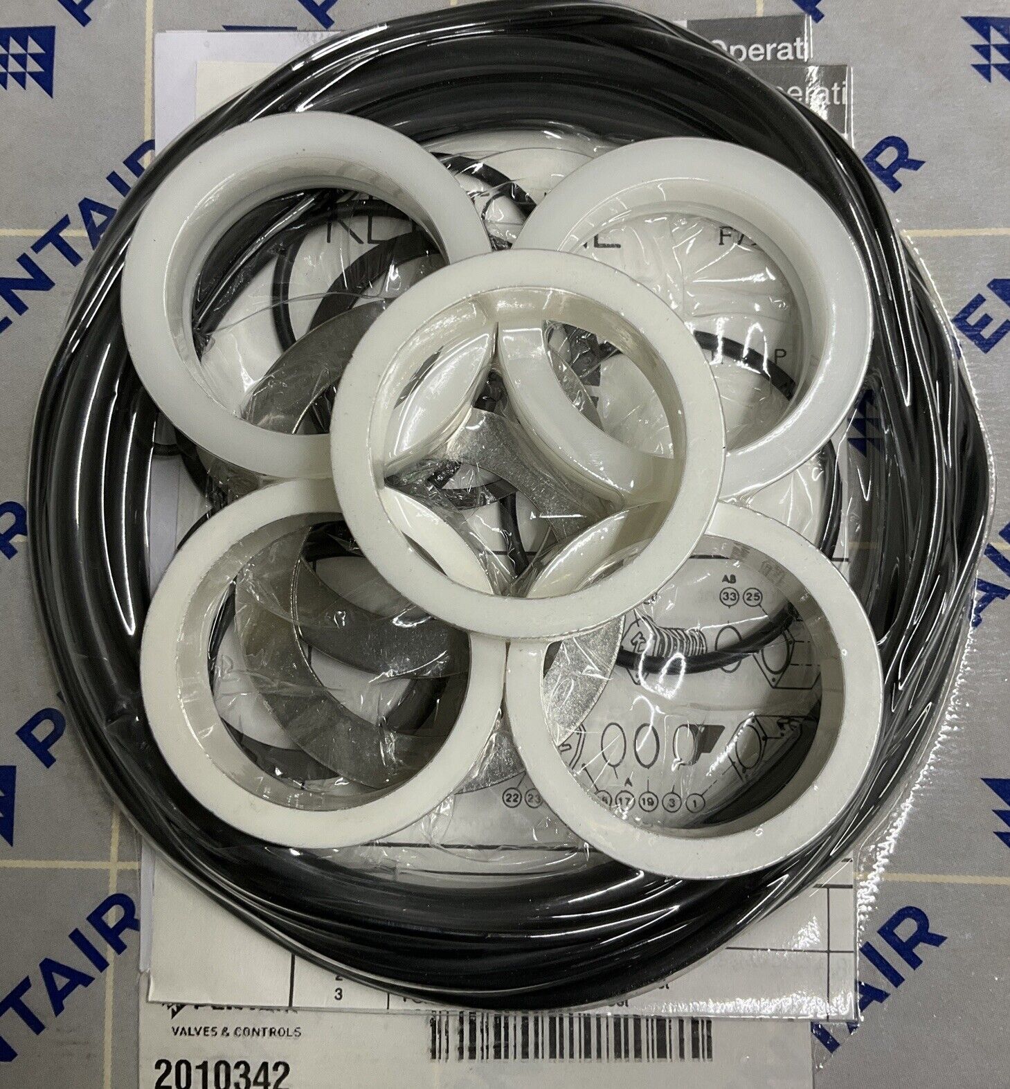 Pentair 2010342 / F790 018/036/S New Repair Kit (CL273)