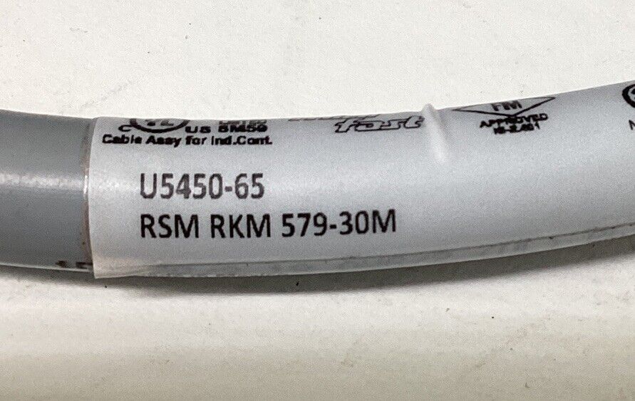 Turck RSM RKM 579-30M / U5450-65 5-Pin 30-Meter Cable Cordset (CBL165)