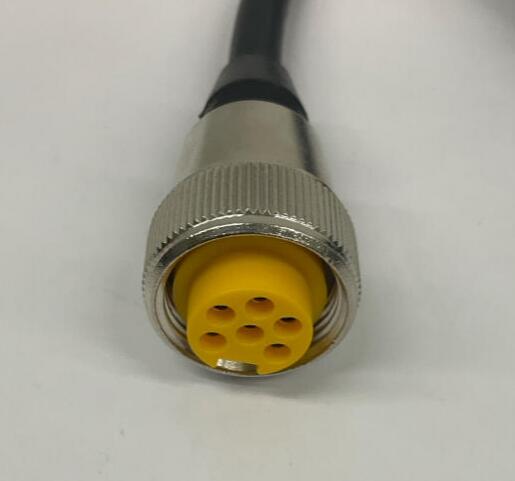 Turck  RSM-RKM-61-3M/S760/S771  6-Pin M/F Minifast Cable UX05982