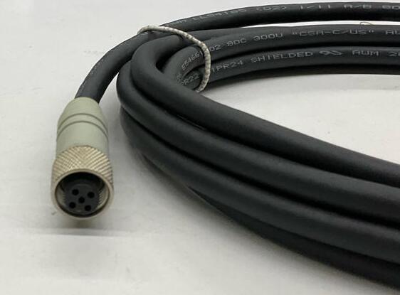 Lumberg RST-5-RKT-5-710/3M M12, 5-pIN M/F Cable Cordset 3-Meter