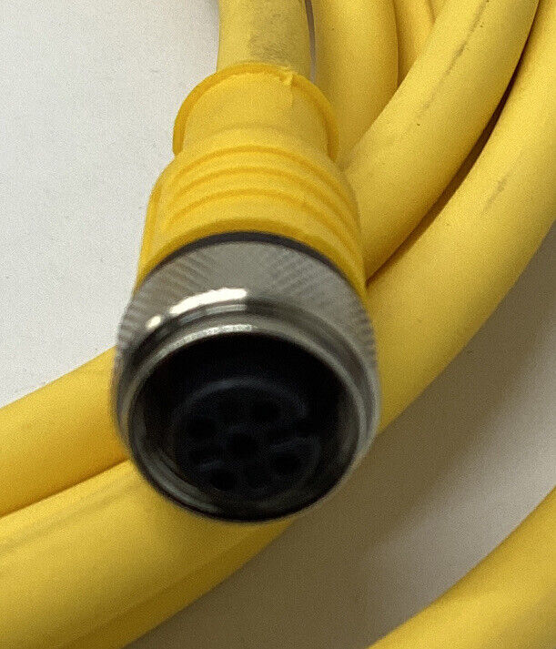 Turck RKC4.4T-3-RSC-4.4T/S90 / U5193-1 Cable Cordset (CL324)